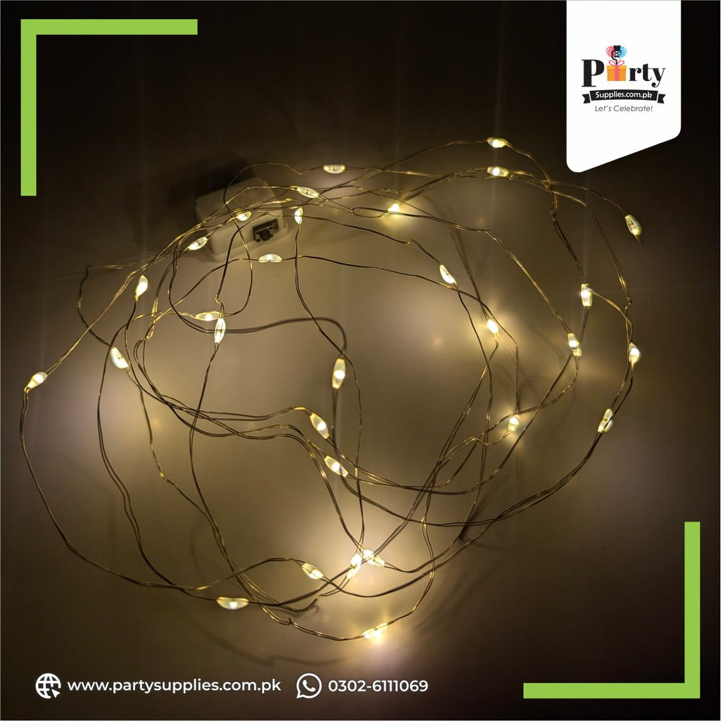 Battery Operated LED Fairy String Lights – Warm White Micro Wire Lights