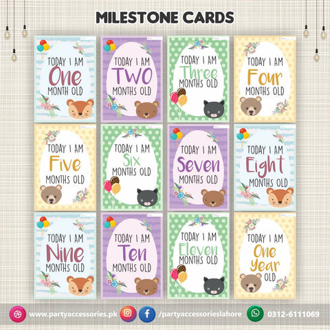 Baby milestone Photo cards | New Born Photoshoot Baby Photo cards Gift set of 12 month cards In Light Colors 