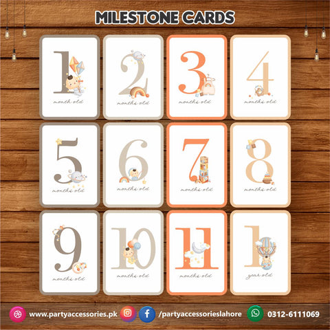 Baby milestone Photo cards set | New Born Photo shoot Baby Photo cards Gift set of 12 cards 